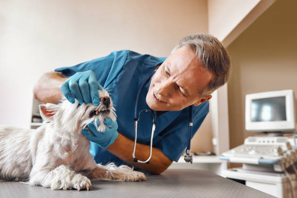 Best Broken Tooth Emergency  in Tracyton, WA